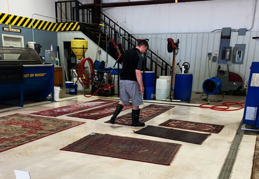 Persian Carpet Cleaning Services