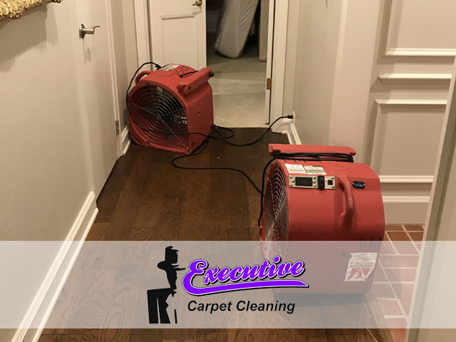 Water Damage Repair Enid