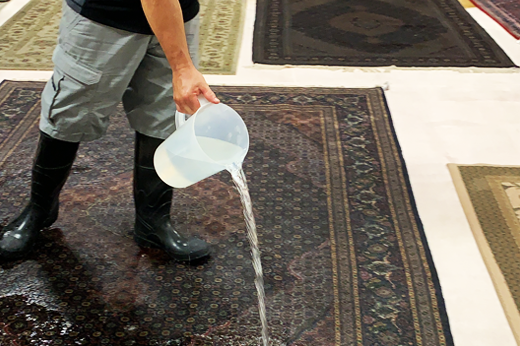 Rug Cleaning