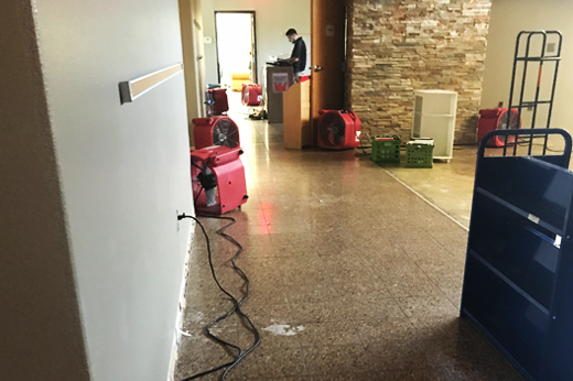 Water Removal Services