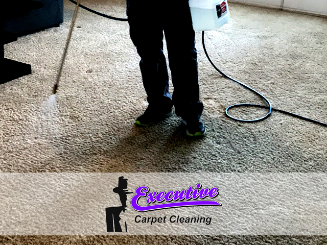 Area Carpet Cleaning Service Enid