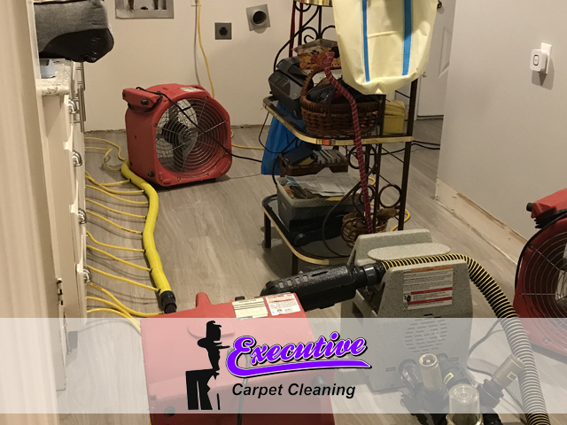 Emergency Water Damage Restoration Service