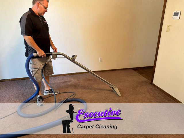 Expert Carpet Cleaning Services