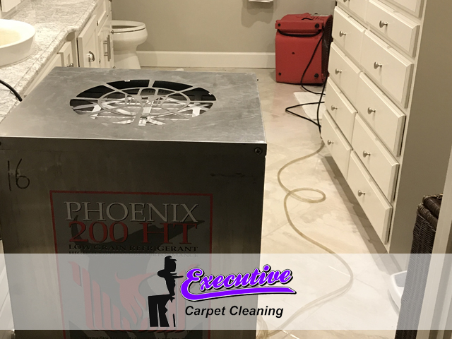 Expert Water Damage Restoration Service