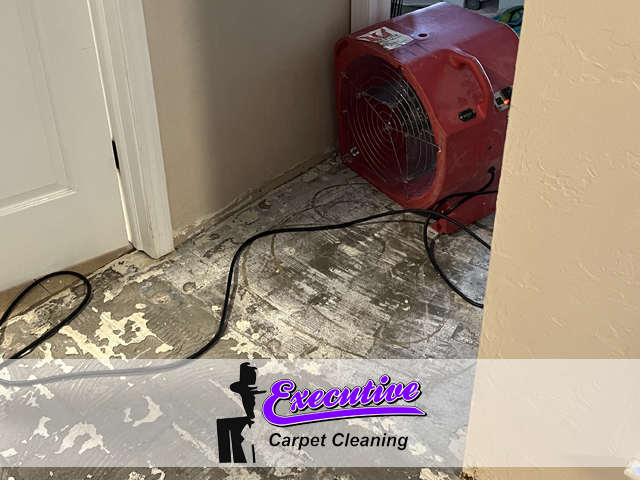 Water Damage Restoration Service