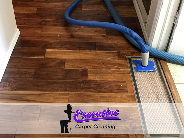 Water Extraction and Removal Service