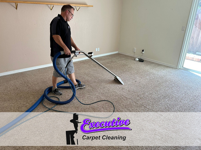 Carpet Cleaning