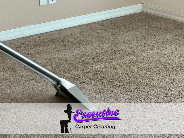 Carpet Cleaning