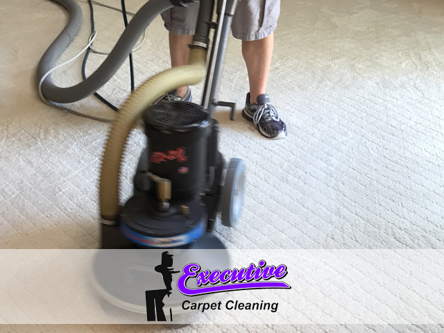 Carpet Cleaning