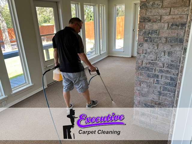 Carpet Cleaning Services