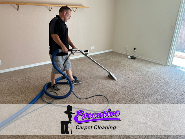Carpet Cleaning Services