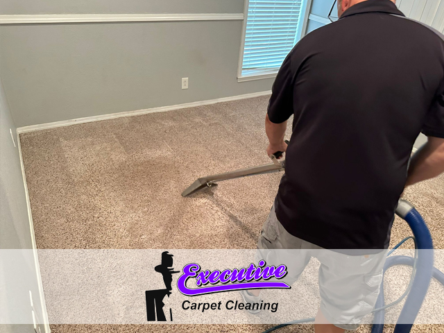 Carpet Cleaning Services