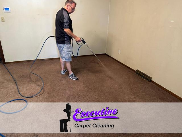 Carpet Cleaning Services