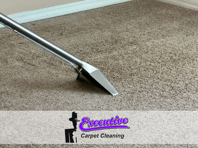 Carpet Cleaning