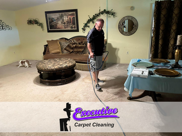 Executive Carpet Cleaning