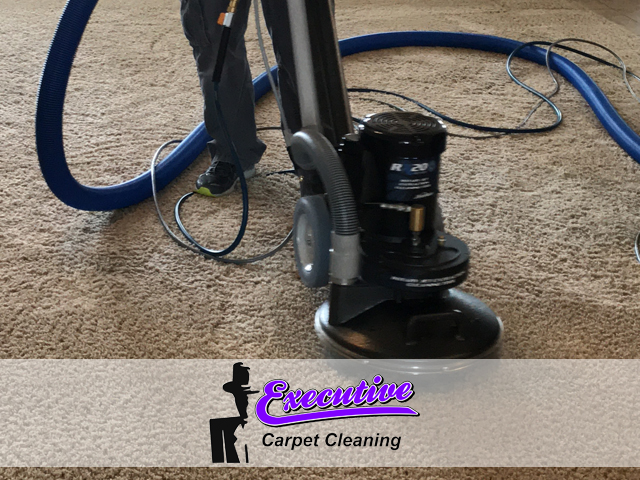 Experience Impeccable Carpet Cleaning Service