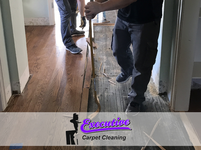 Expert Water Damage Restoration Service