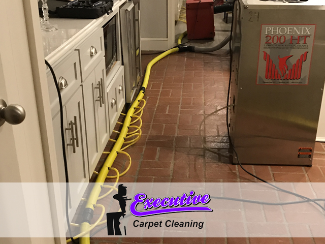 Rapid Water Extraction and Removal Service