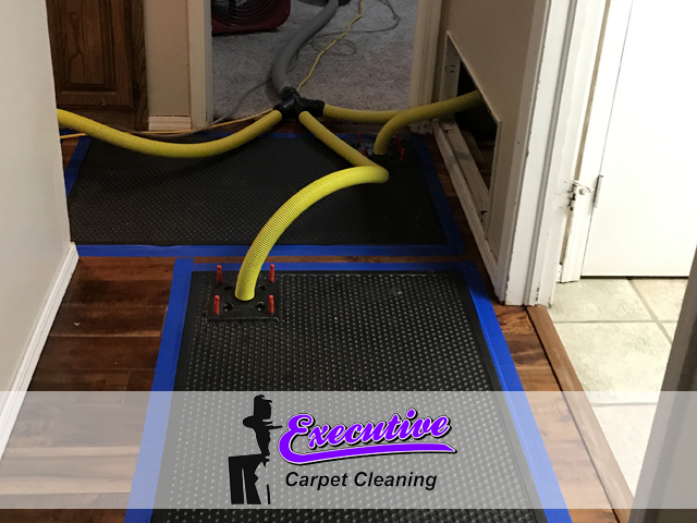 Reliable Water Extraction and Removal Services