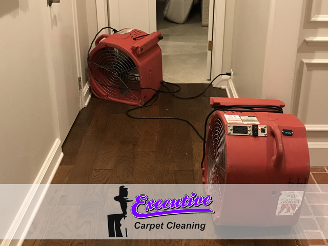 Water Damage Restoration