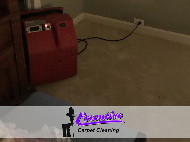 Water Damage Restoration Services