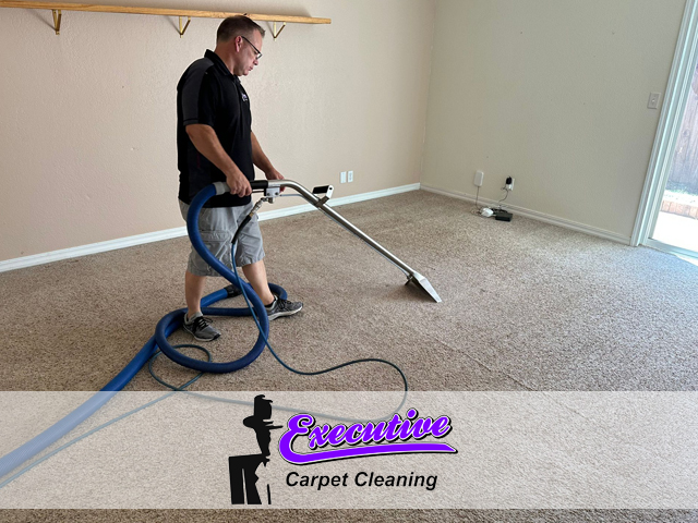 Carpet Cleaning Services