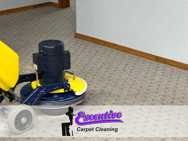 Expert Carpet Cleaning Service