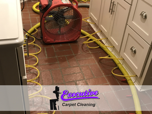 Water Damage Restoration