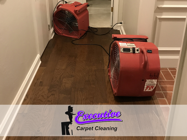 Water Damage Restoration Services