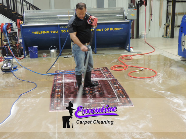 Area Carpet Cleaning