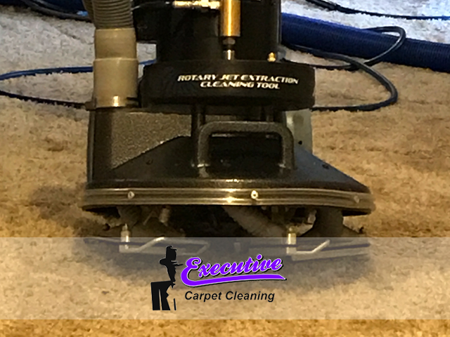 Persian Carpet Cleaning