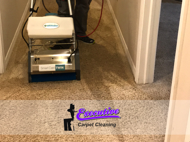 Persian Carpet Cleaning