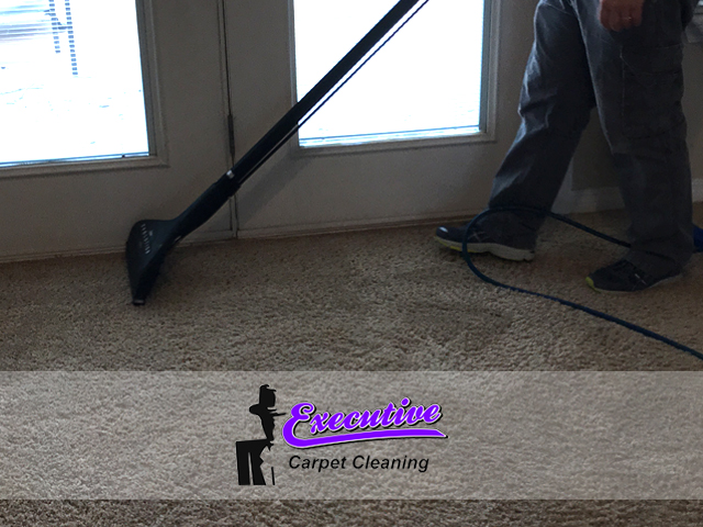 Persian Carpet Cleaning