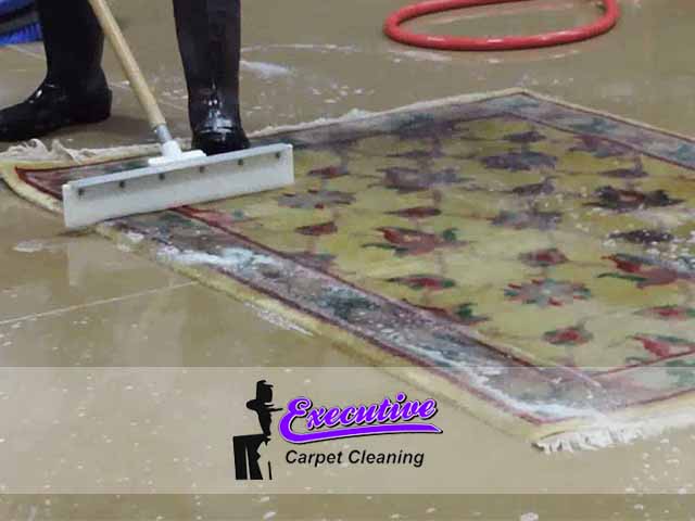 Carpet Cleaning Service