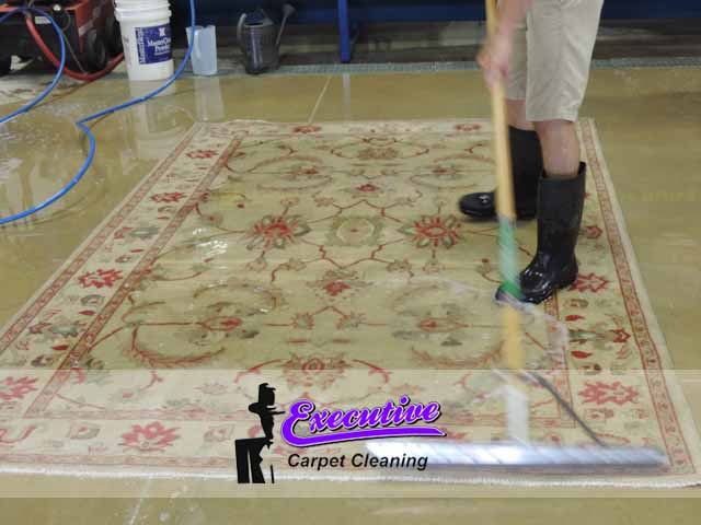 Carpet Cleaning Service