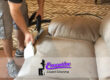 Upholstery Cleaning