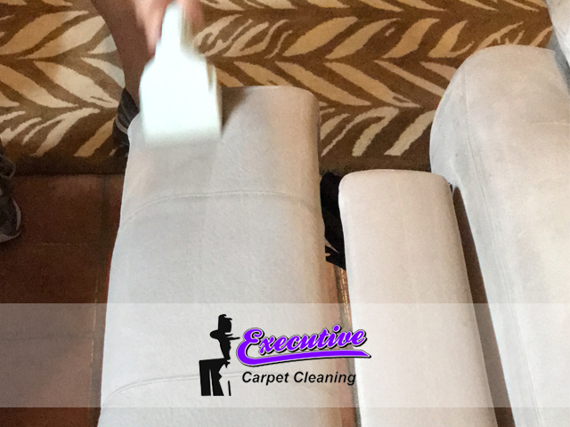 Upholstery Cleaning