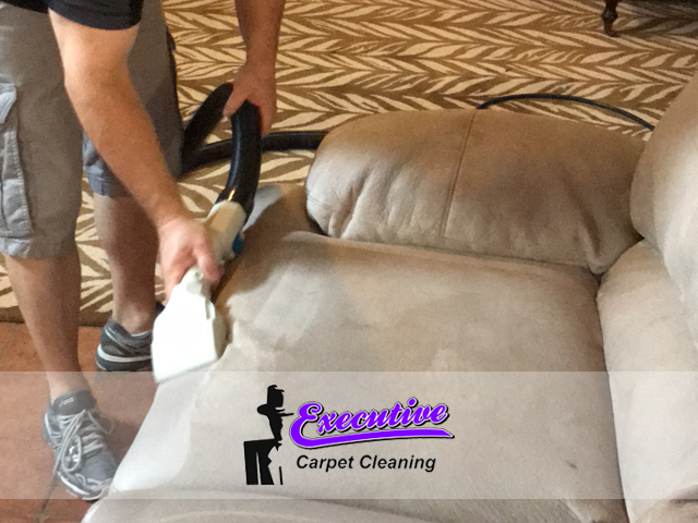 Upholstery Cleaning