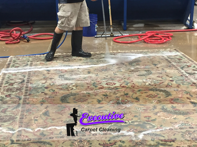 Area Carpet Cleaning