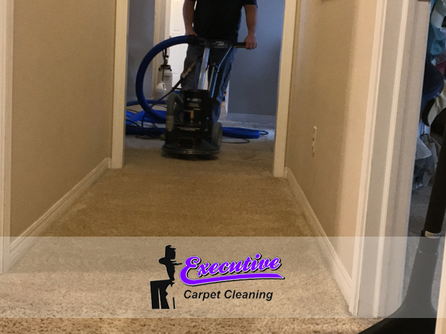 Persian Carpet Cleaning