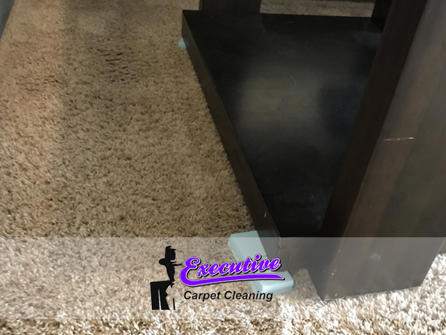 Persian Carpet Cleaning