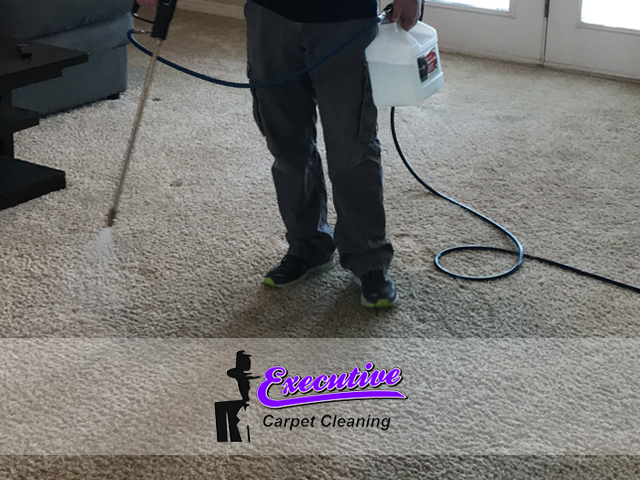 Antique Carpet Cleaning