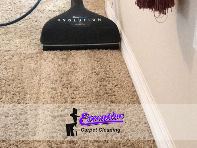Antique Carpet Cleaning