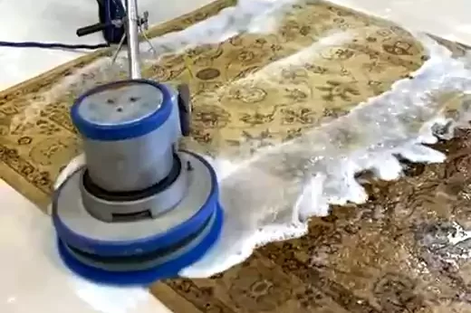 Rug Pet Odor Removal Experts