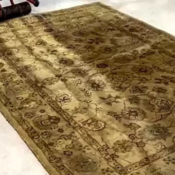 Tufted Rug Pet Stain Removal in Enid