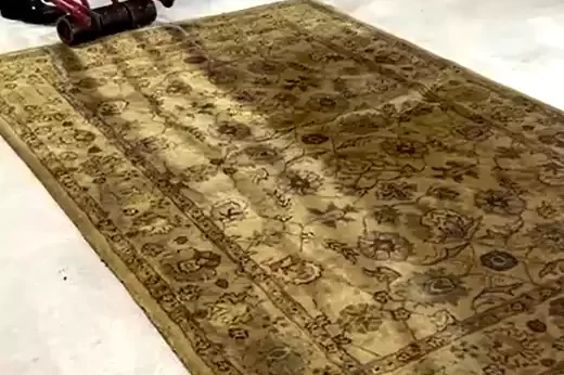 Tufted Rug Pet Stain Removal in Enid
