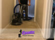 Wall-to-Wall Carpet Cleaning