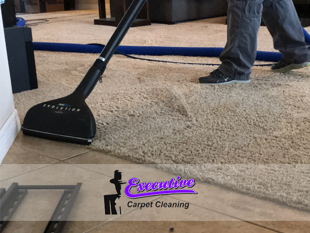 Wall-to-Wall Carpet Cleaning