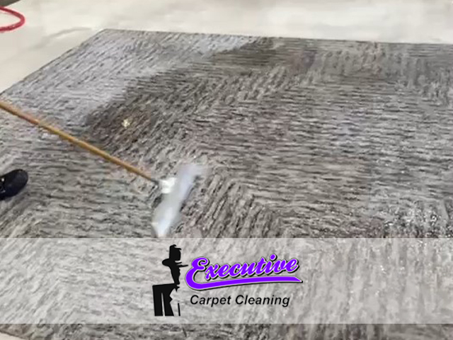 Carpet Cleaning