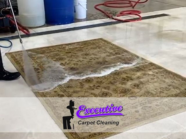 Carpet Cleaning